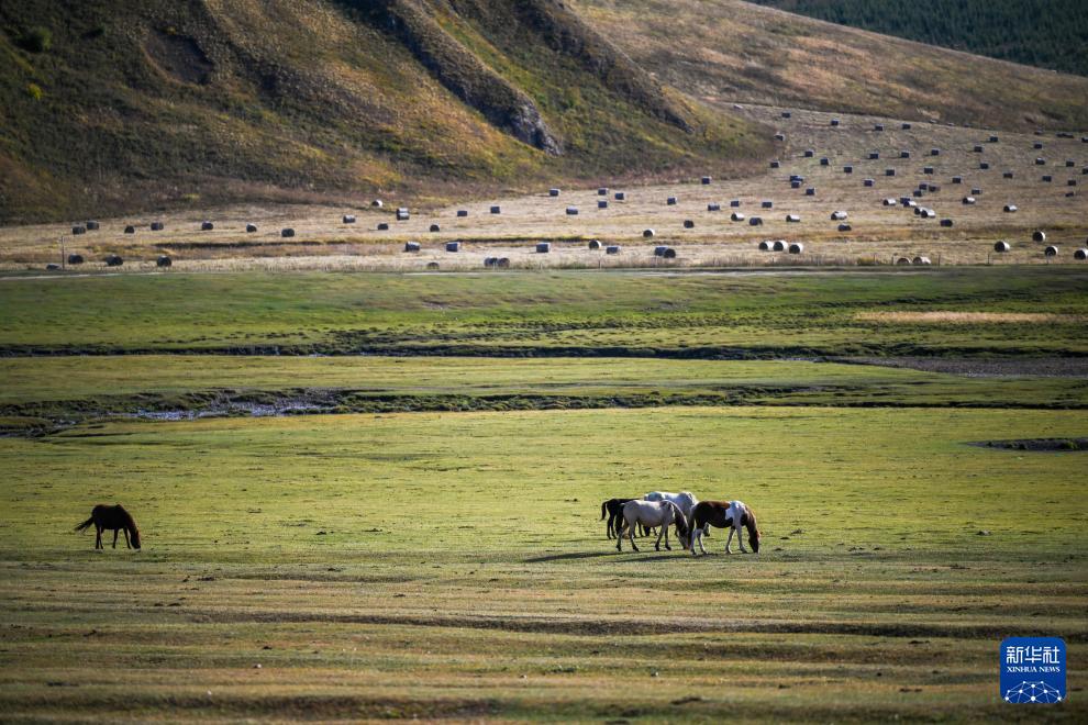 罕山秋色 罕山秋色
