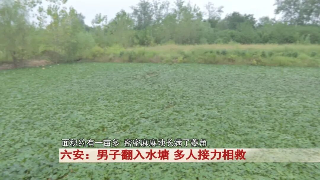 六安男子落水遇险记：会水也怕 “水下陷阱”