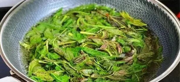 这几种蔬菜，不焯水当心全家中毒！第2种很多人都爱吃