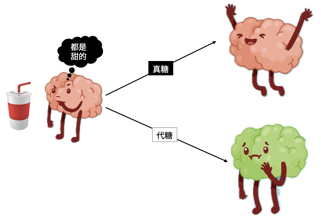 无糖甜饮料真的不能天天喝！研究又添有害证据