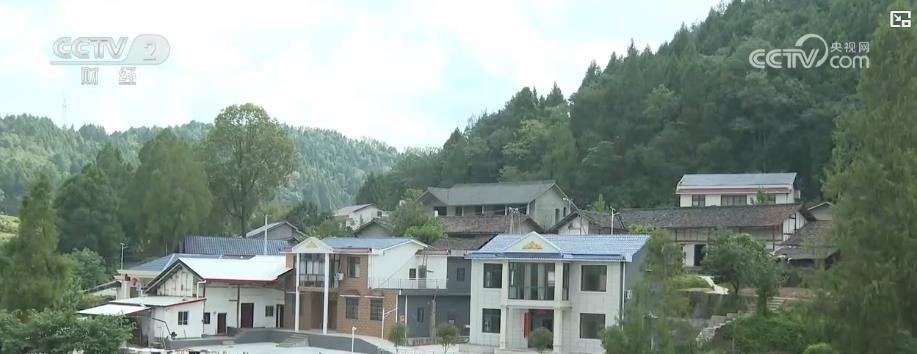 新农房来了！建得快、住得省、质量优 “好房子”激活乡村建设新动能