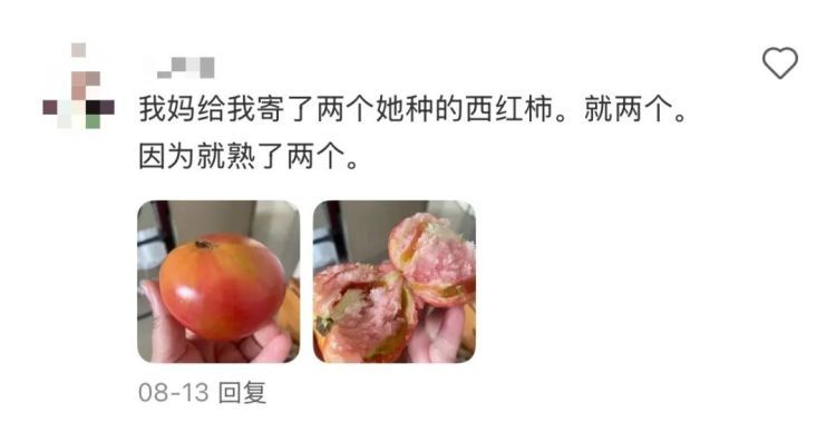 “我爸给我寄了两支他在路边看到的花……”引发网友热议