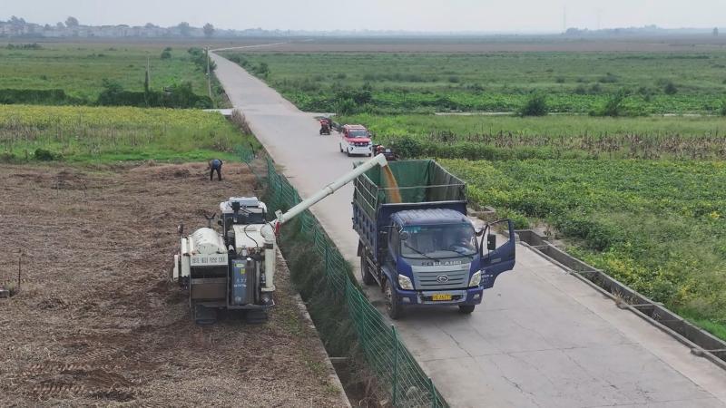 江西鄱阳:36万亩中稻开镰 丰收画卷正铺展 江西鄱阳:36万亩中稻开镰 丰收画卷正铺展