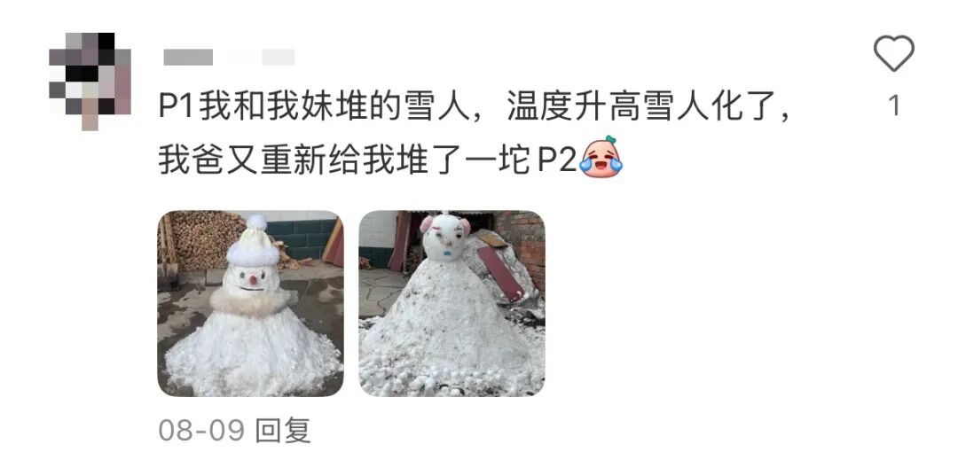 我爸给我寄了两支他在路边看到的花……