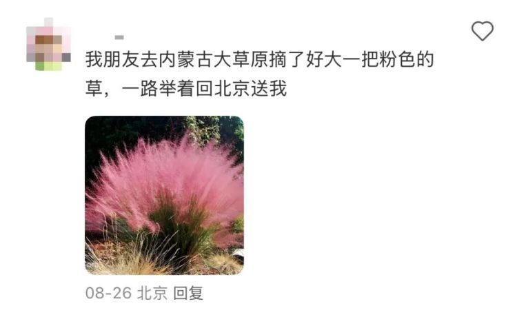 “我爸给我寄了两支他在路边看到的花……”引发网友热议