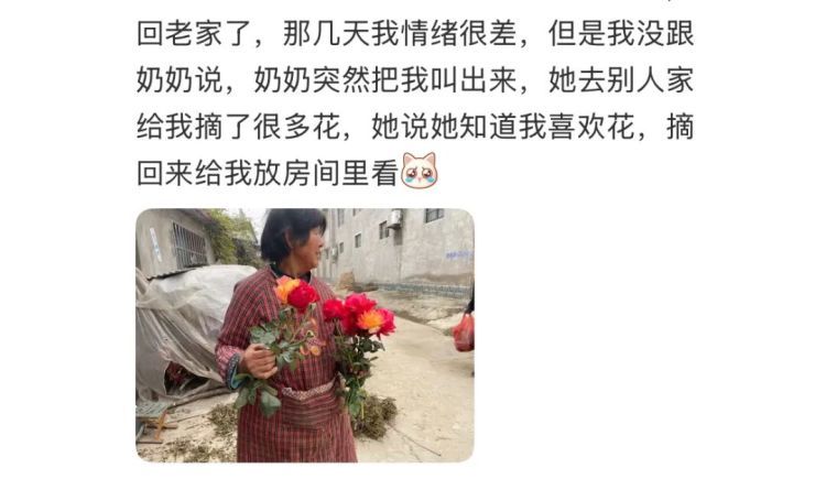 “我爸给我寄了两支他在路边看到的花……”引发网友热议