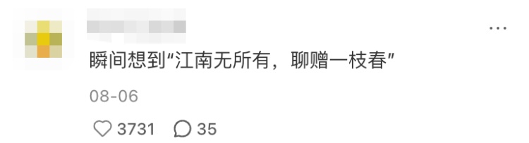 “我爸给我寄了两支他在路边看到的花……”引发网友热议