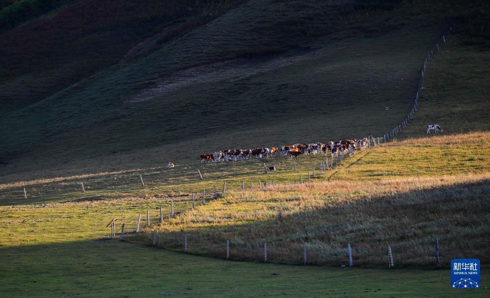 罕山秋色 罕山秋色