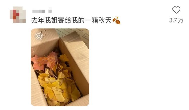 “我爸给我寄了两支他在路边看到的花……”引发网友热议