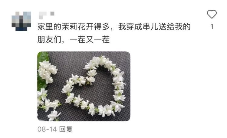 “我爸给我寄了两支他在路边看到的花……”引发网友热议