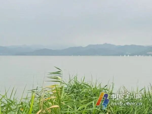 宁波一夜入秋？专家解析降温原因