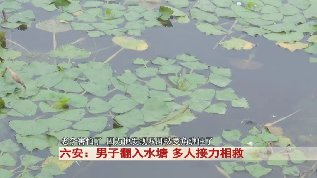 六安男子落水遇险记：会水也怕 “水下陷阱”