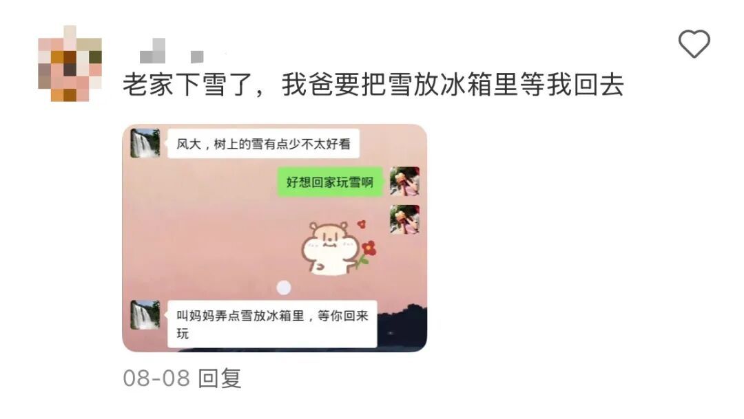 我爸给我寄了两支他在路边看到的花……
