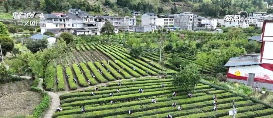 优化假期安排,激发消费活力!多地积极探索中小学春秋假 优化假期安排,激发消费活力!多地积极探索中小学春秋假