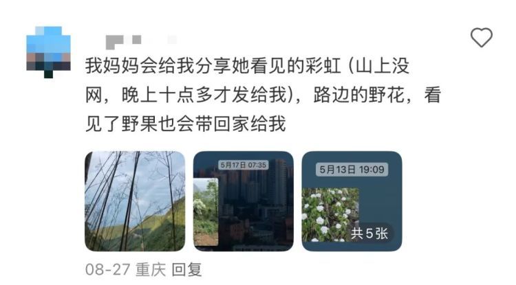 “我爸给我寄了两支他在路边看到的花……”引发网友热议