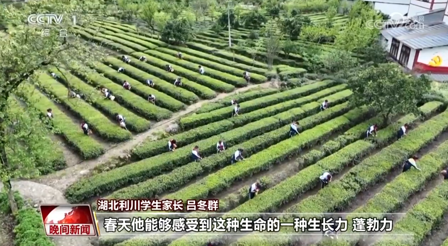 春秋假真的要来了吗？来看各地结合实际的探索