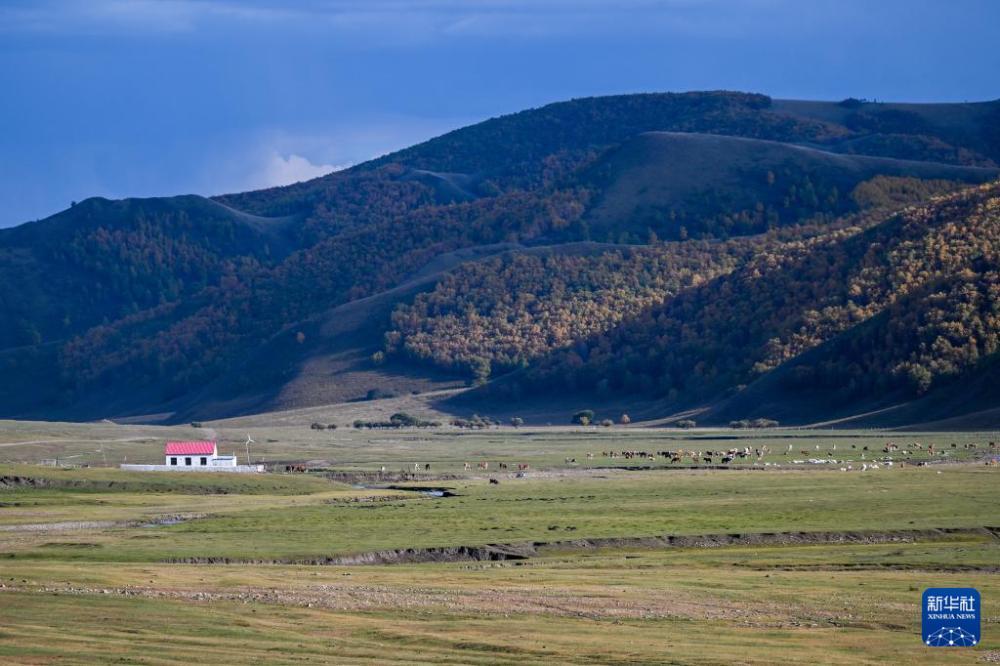 罕山秋色 罕山秋色