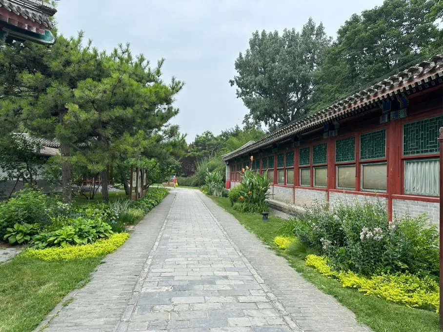 北京秋日最美的40个赏花点，都藏在了哪？附具体位置——