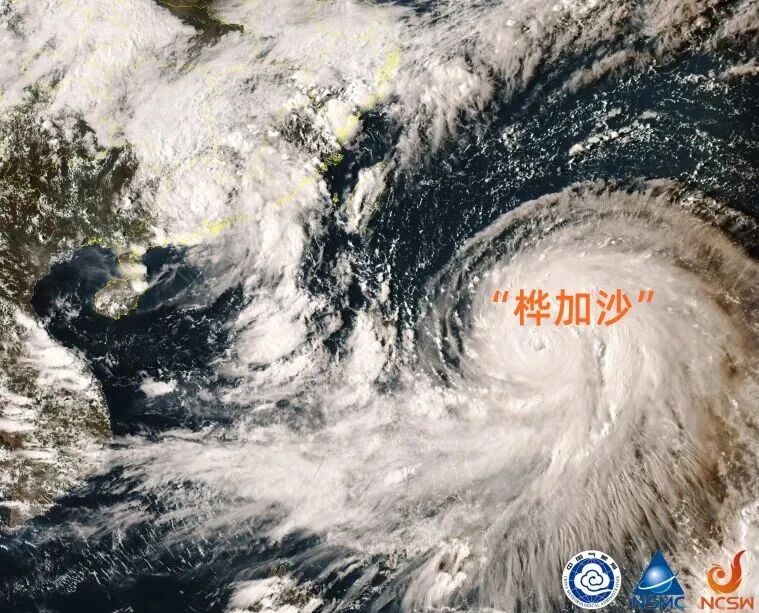 已成“风王”！超强台风“桦加沙”将影响东莞，有狂风暴雨…