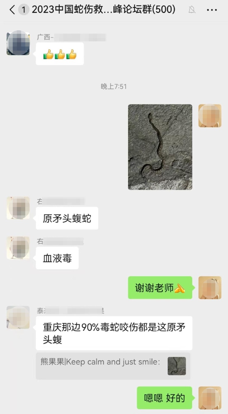 男友被毒蛇咬伤，女子第一时间拍照竟获集体点赞