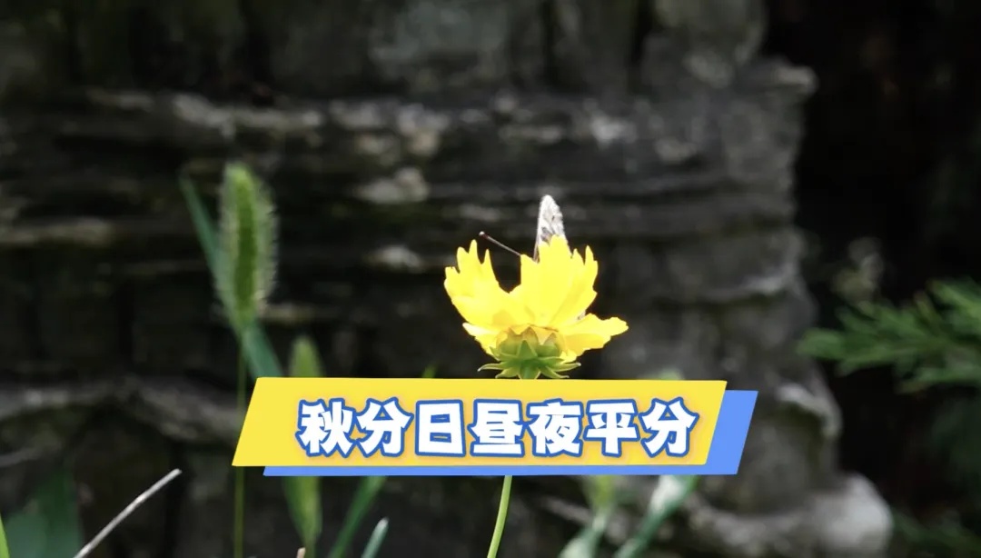 北京今天有雨，记得带伞！本周天气预报——