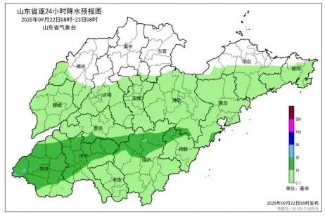 山东降雨升级：局部小雨到暴雨雷电