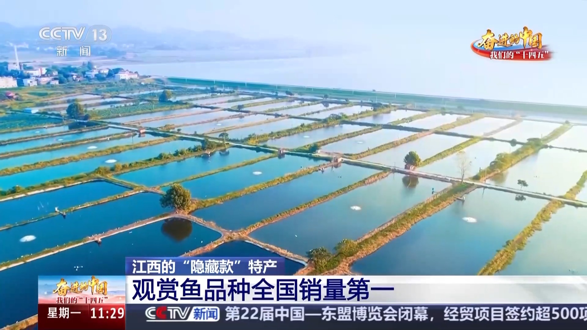 日销20万金鱼变“锦鲤” 江西还有这些“隐藏款”宝藏农产品