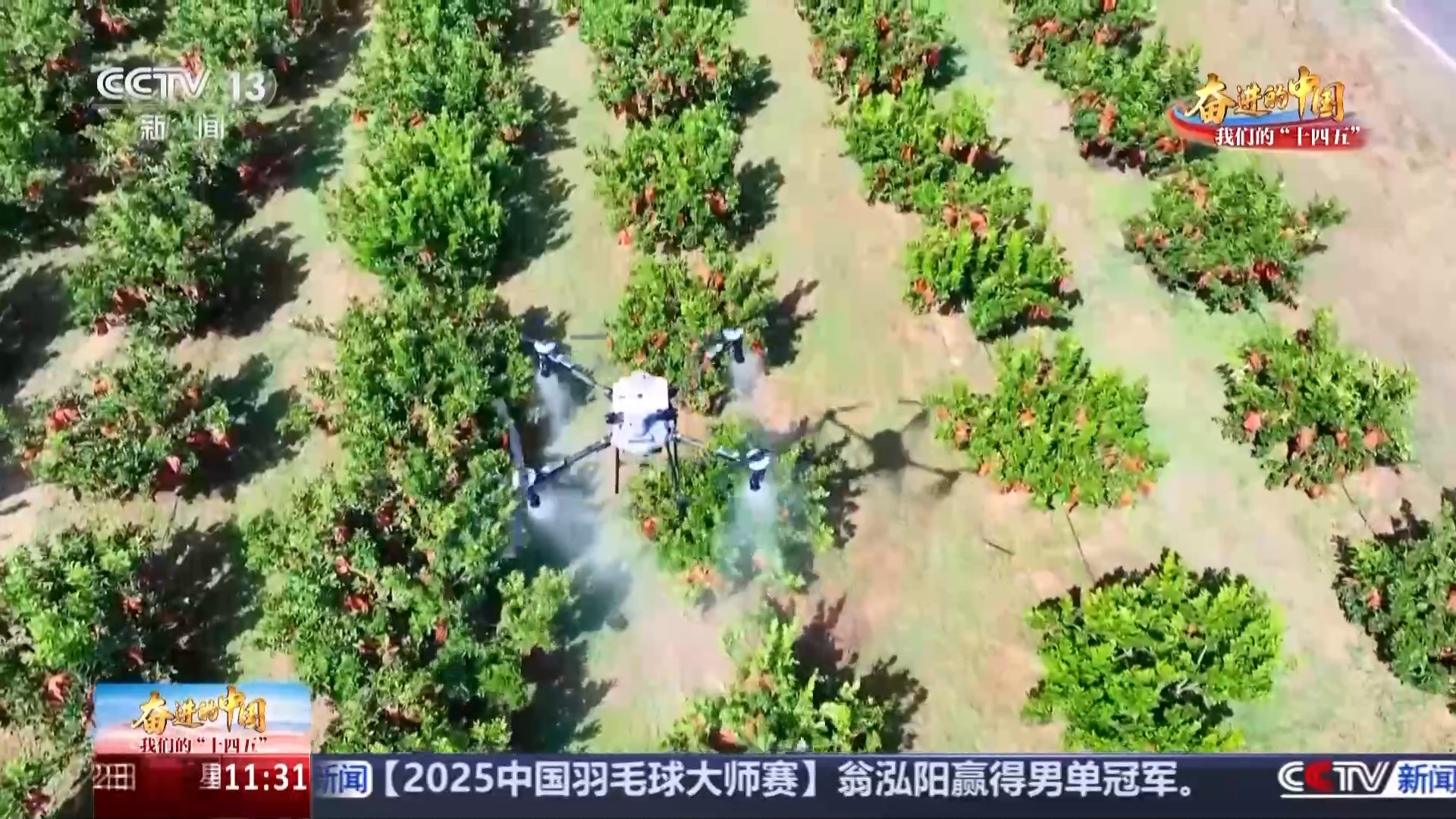 日销20万金鱼变“锦鲤” 江西还有这些“隐藏款”宝藏农产品