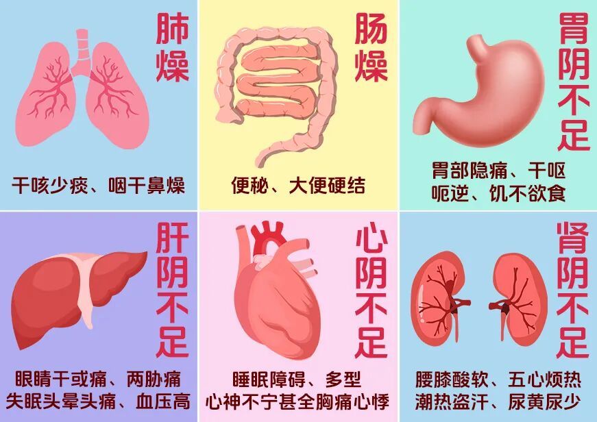越喝越干？中医提醒：秋燥不是缺水，是缺“津液”！