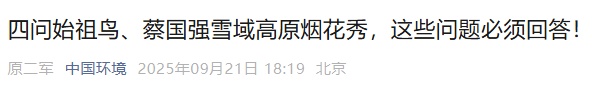 四问始祖鸟、蔡国强“烟花秀”：必须回答！