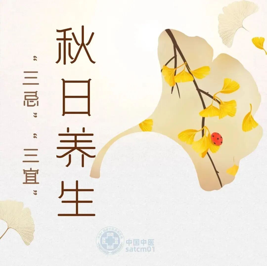 今日秋分 | 吃这些食物最养生→