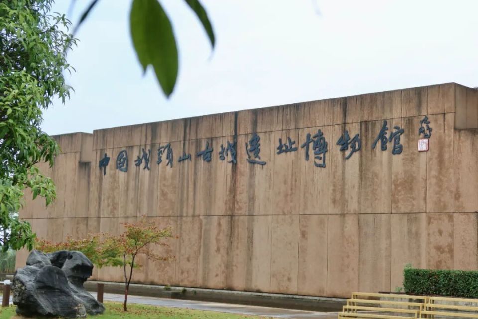 6000多年前，“城里人”是这样生活的