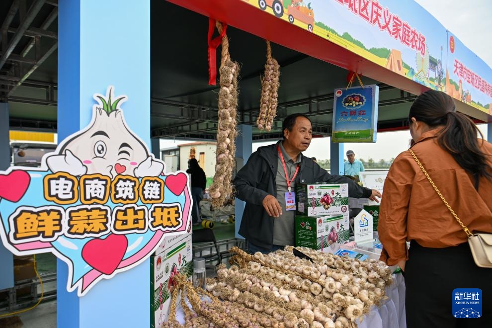 天津：乡村多彩活动庆丰收