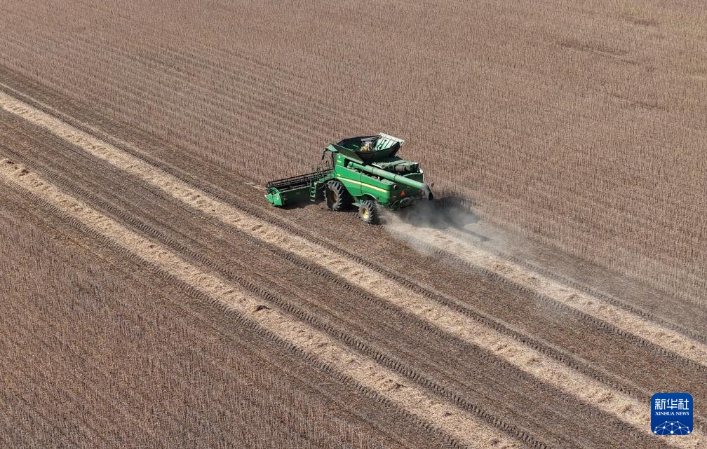 “大粮仓”黑龙江进入秋收季