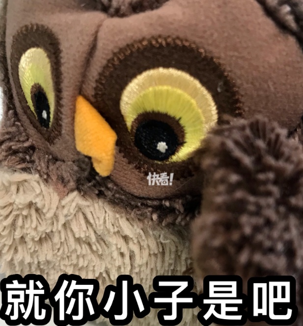 雕鸮(xiāo):警察叔叔,我偷鸡吃,鸡该判几年? 雕鸮(xiāo):警察叔叔,我偷鸡吃,鸡该判几年?