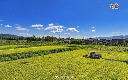 解锁巴渝大地丰收喜悦