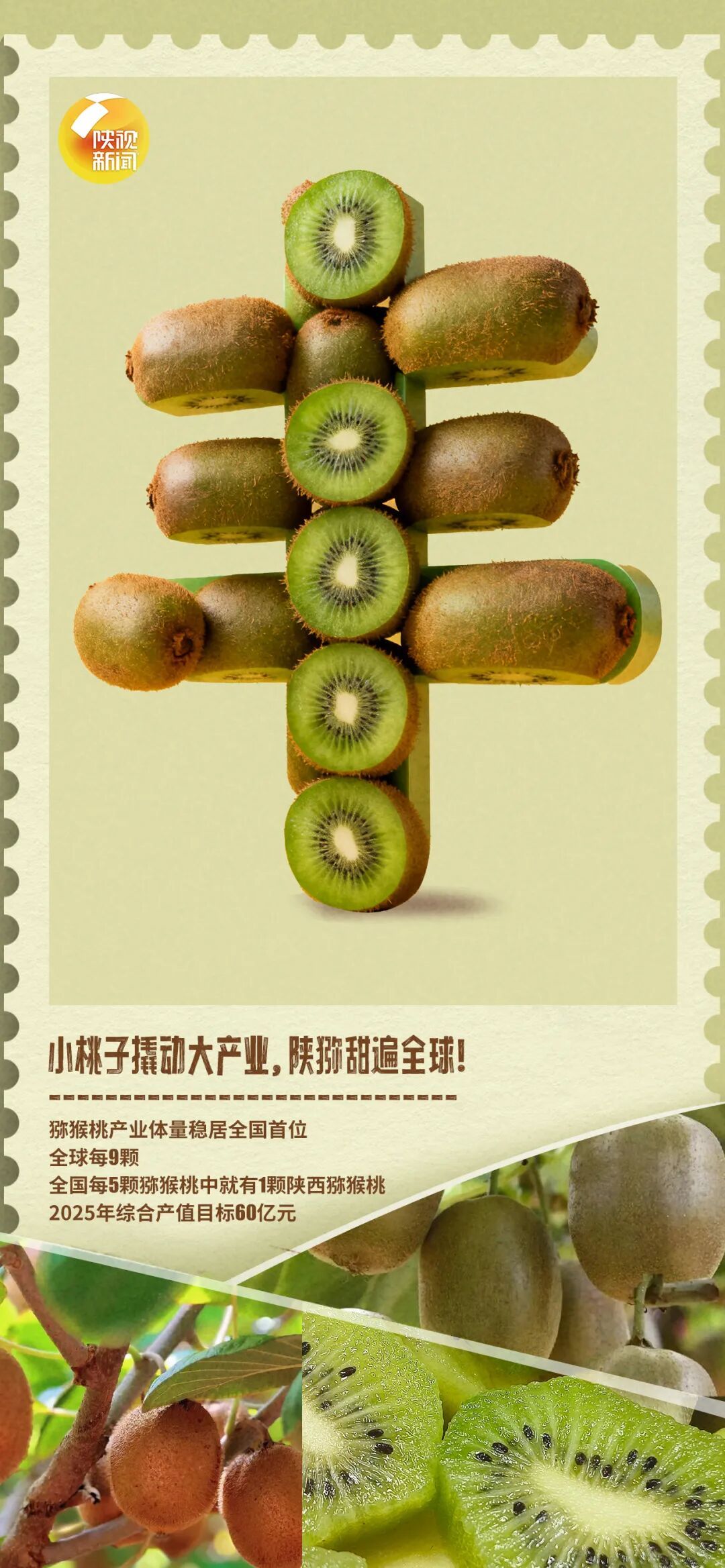 额滴神！陕西这波丰收“晒”得，扎实！