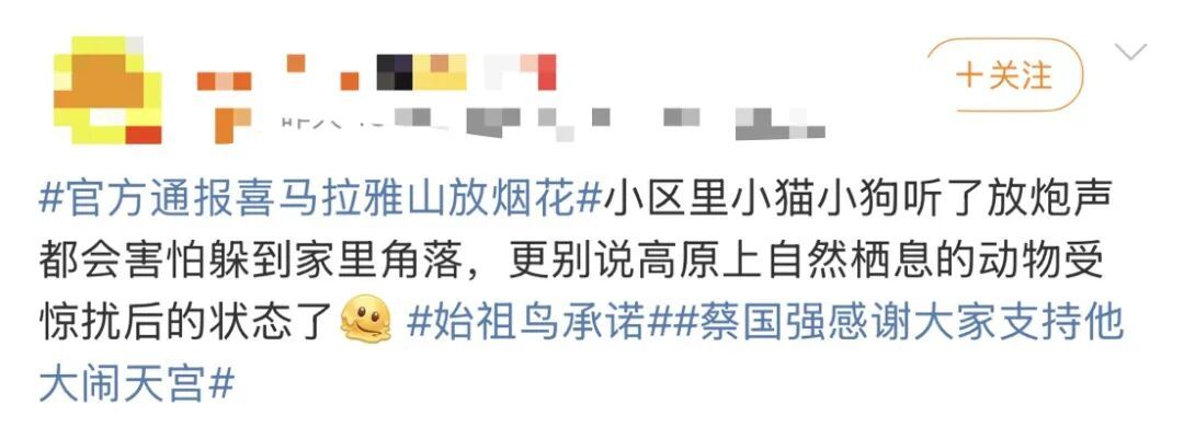 蔡国强“大闹天宫”感言曝光,始祖鸟母公司股价大跌! 蔡国强“大闹天宫”感言曝光,始祖鸟母公司股价大跌!