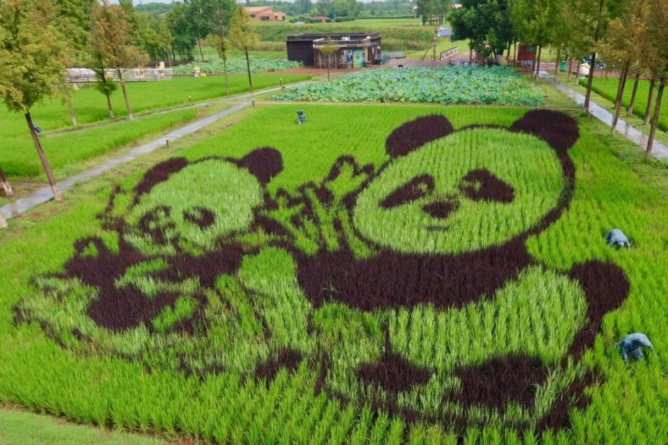 6000多年前，“城里人”是这样生活的