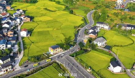 解锁巴渝大地丰收喜悦