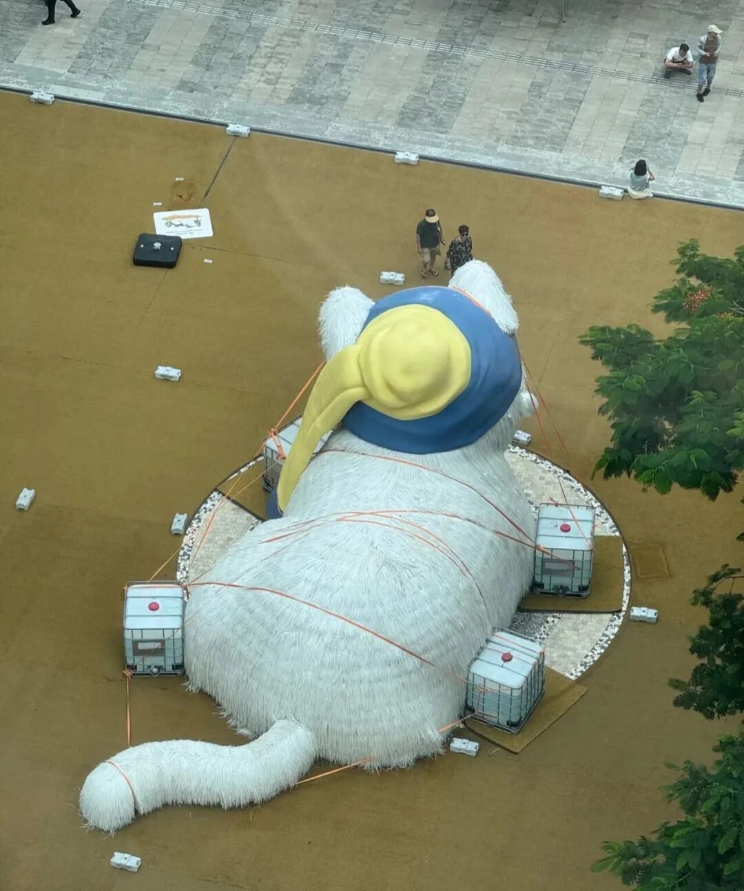 谨防“加沙”!粤B市民花式防台风!最高级别台风红色预警将发布→ 谨防“加沙”!粤B市民花式防台风!最高级别台风红色预警将发布→