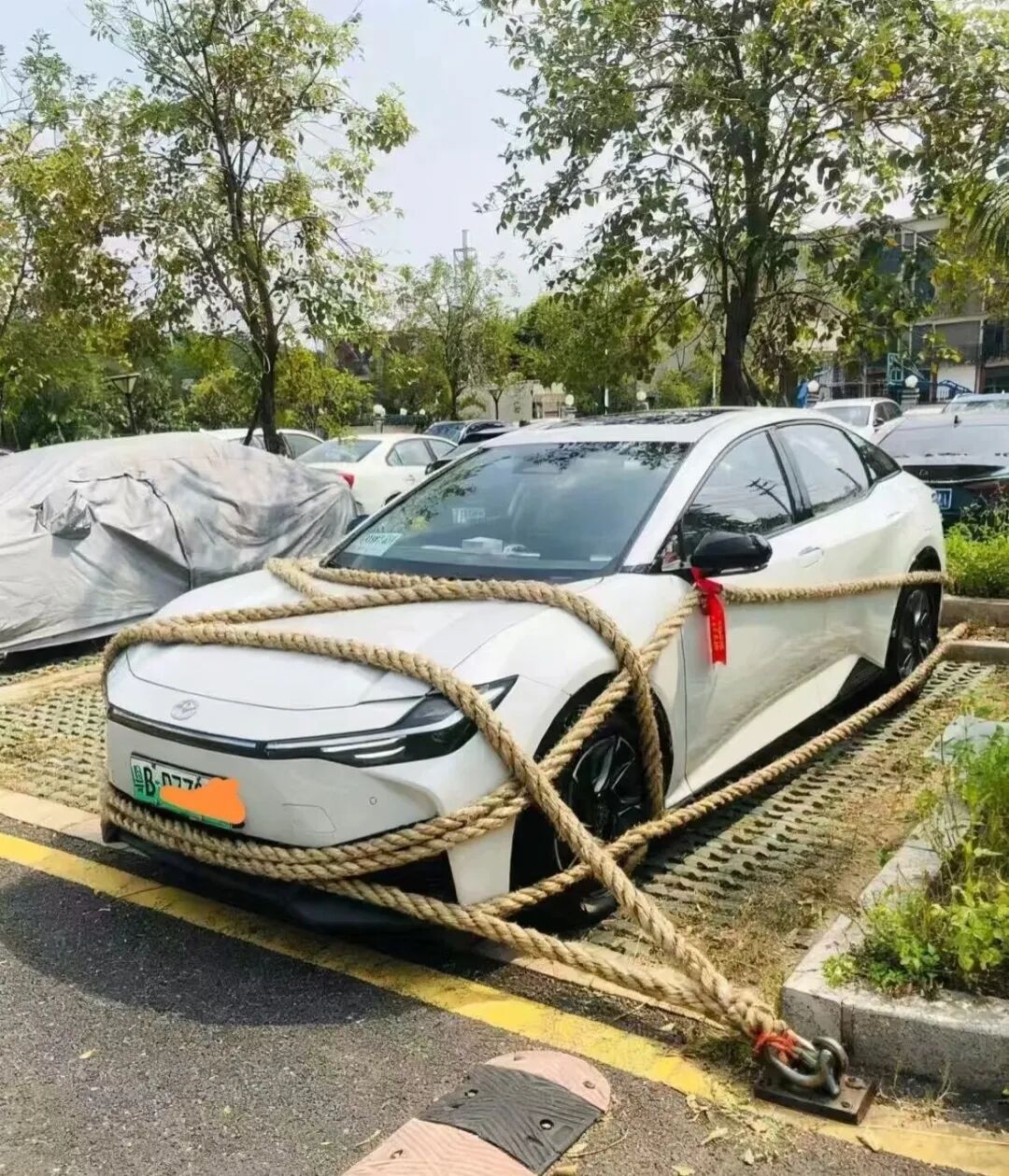 谨防“加沙”!粤B市民花式防台风!最高级别台风红色预警将发布→ 谨防“加沙”!粤B市民花式防台风!最高级别台风红色预警将发布→