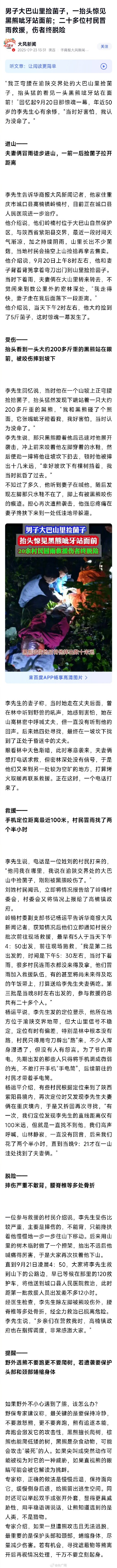 男子捡菌子一抬头见黑熊龇牙站面前