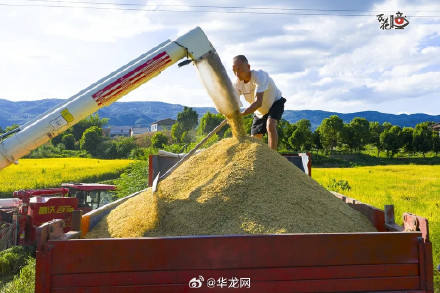 解锁巴渝大地丰收喜悦