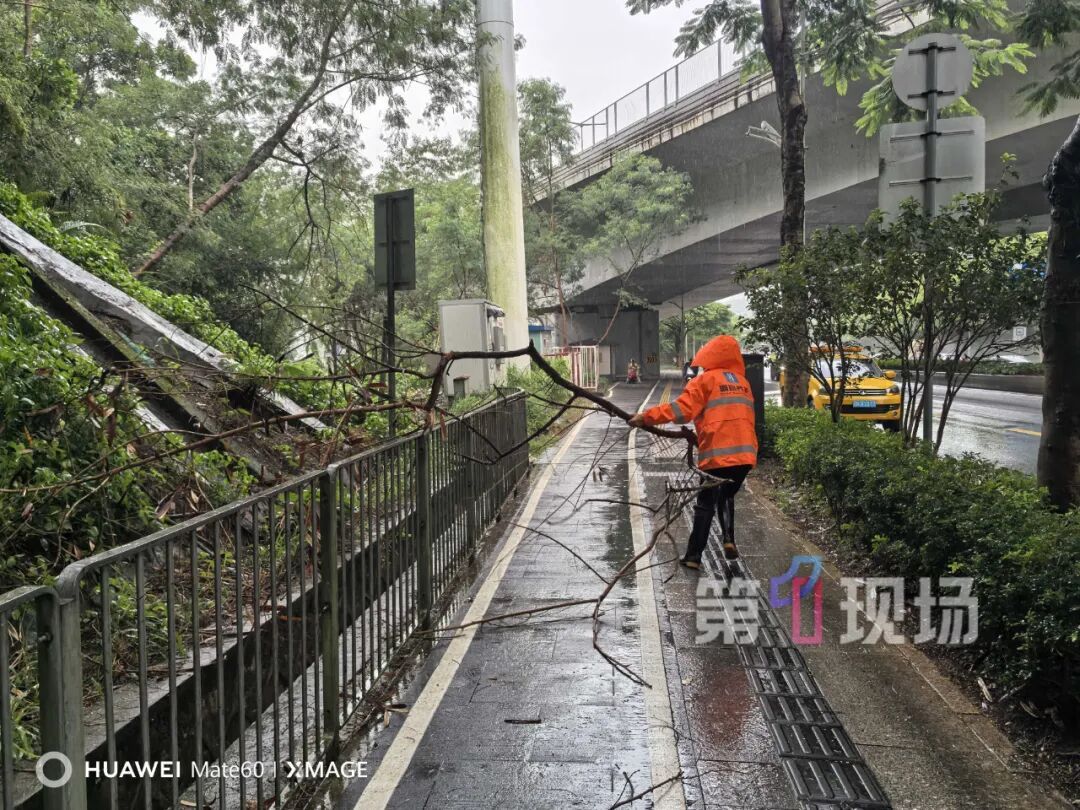 谨防“加沙”!粤B市民花式防台风!最高级别台风红色预警将发布→ 谨防“加沙”!粤B市民花式防台风!最高级别台风红色预警将发布→