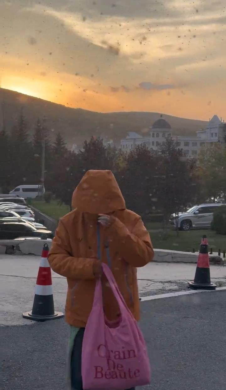 内蒙古阿尔山满天飞虫，吓哭密集恐惧症游客，当地居民：秋季常见，无毒不咬人
