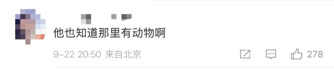 蔡国强“大闹天宫”感言曝光,始祖鸟母公司股价大跌! 蔡国强“大闹天宫”感言曝光,始祖鸟母公司股价大跌!