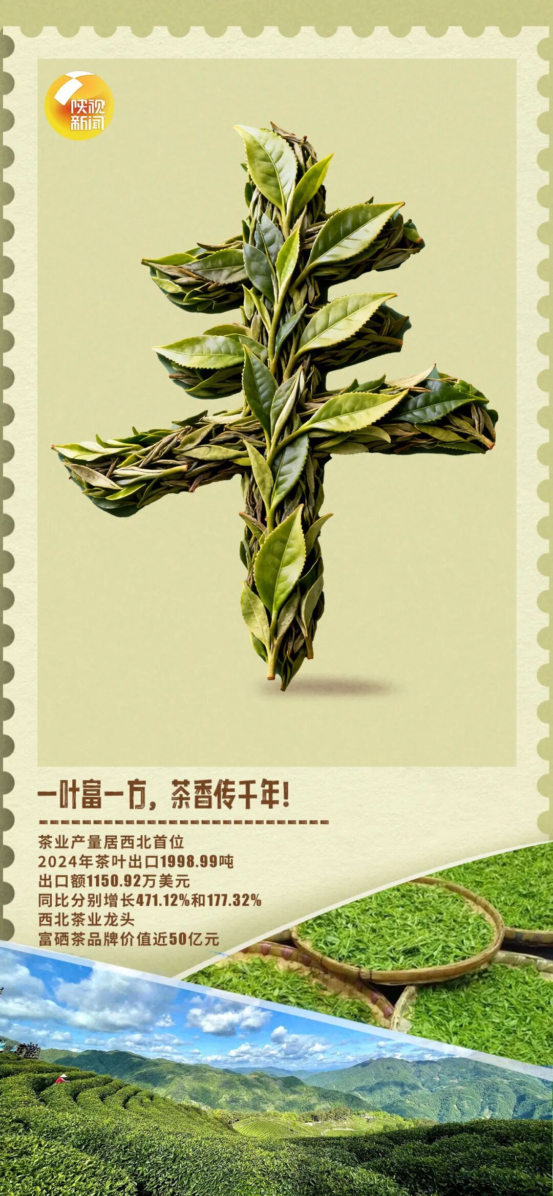 额滴神！陕西这波丰收“晒”得，扎实！