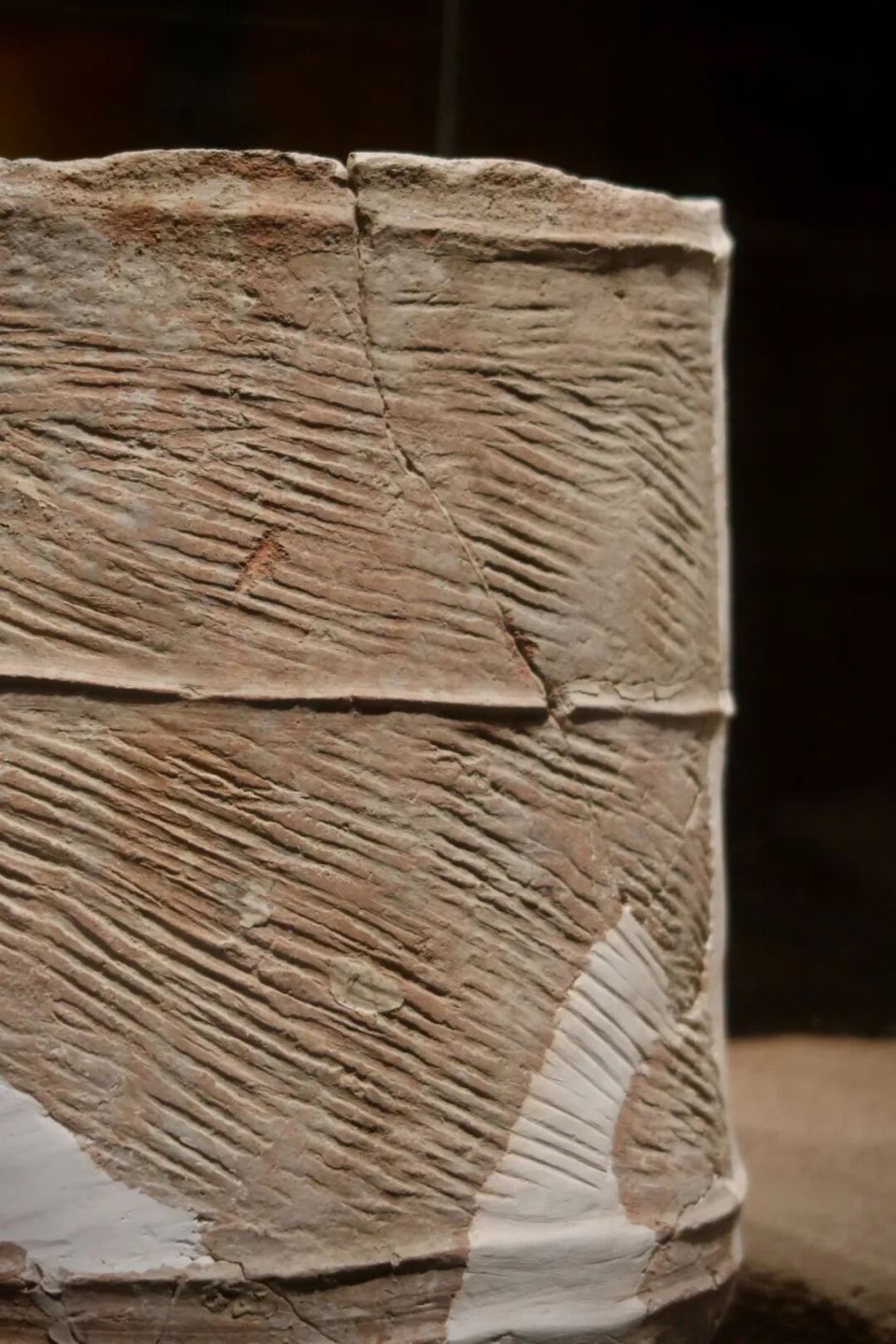 6000多年前，“城里人”是这样生活的