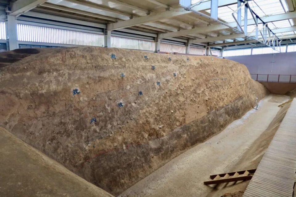 6000多年前，“城里人”是这样生活的